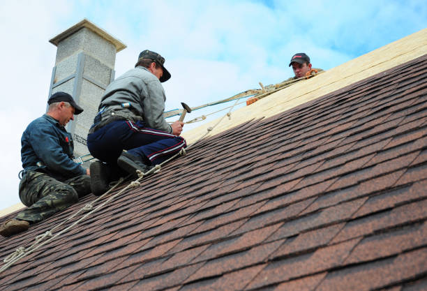 Best Roof Gutter Cleaning  in Country Clu, CA